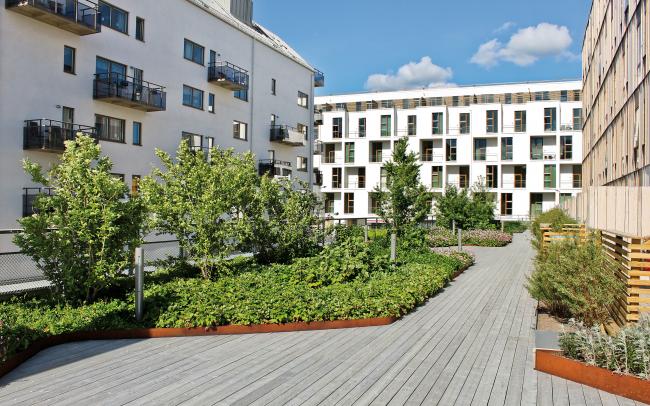 Roof garden with luscious plant beds and wooden decking